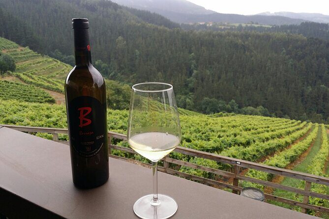 Organic Winery Visit with Tasting in Bilbao - A Closer Look at the Organic Winery Visit with Tasting in Bilbao