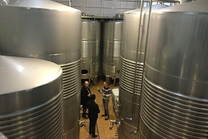Organic Winery Visit with Tasting in Bilbao - Frequently Asked Questions