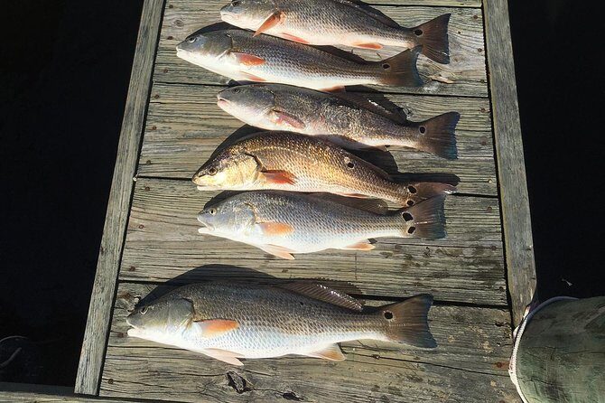 Oriental Neuse River Fishing Trips & Scenic Tours - Exploring Wilmington’s Waters with a Private Touch