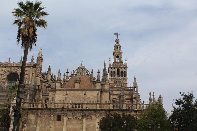 Orientation Tour - Who Should Consider This Tour?