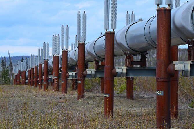 Original Arctic Circle Drive from Fairbanks - FAQ