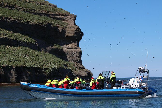 Original Big Whale Safari & Puffins Speedboat Tour from Húsavík - The Sum Up