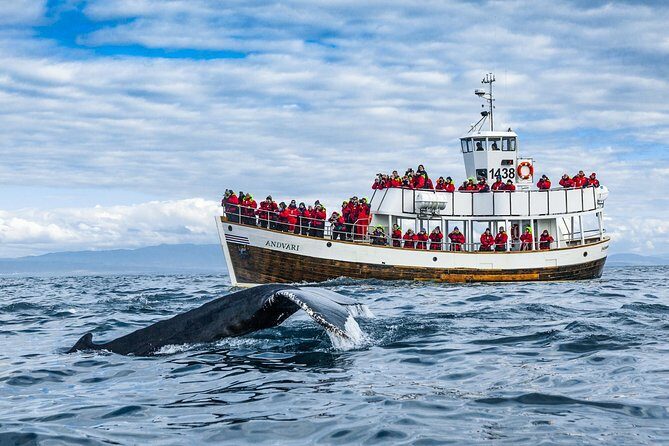 Original Carbon Neutral Whale Watching Tour from Húsavík - FAQ