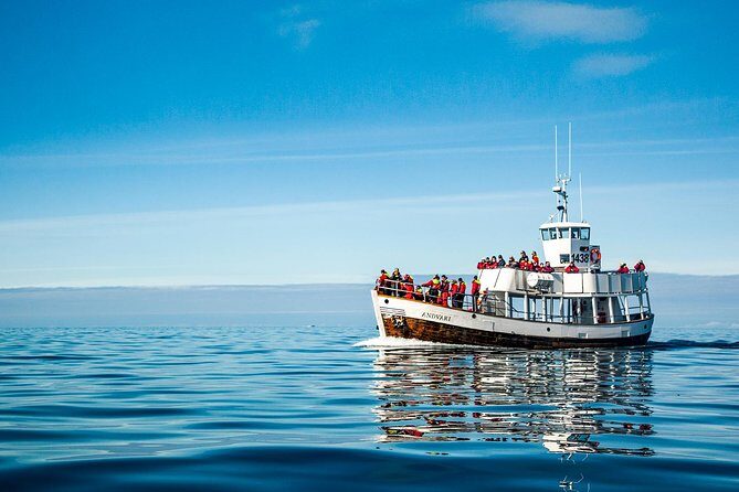 Original Carbon Neutral Whale Watching Tour from Húsavík - Final Thoughts