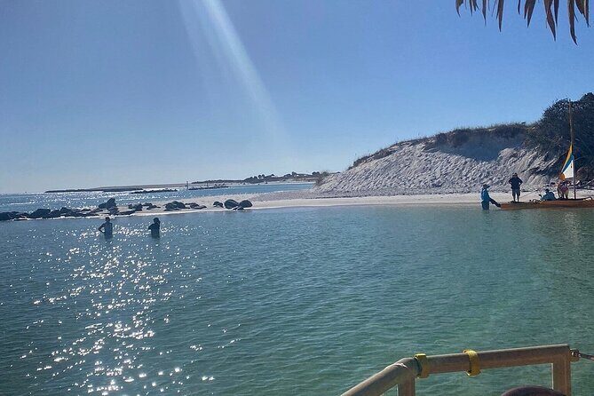 Original CRUISIN TIKIS 3 Hour Cruise, Snorkel, Swim/float Sandbar - The Sum Up