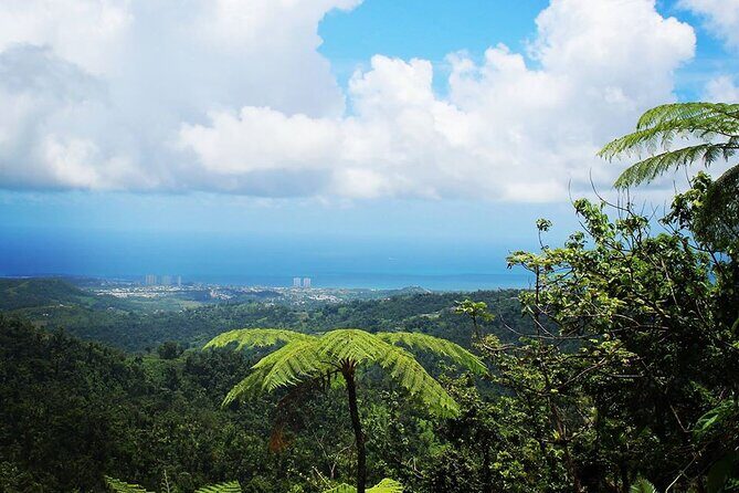 Original Tropical Rainforest and Beach Adventure - Key Points