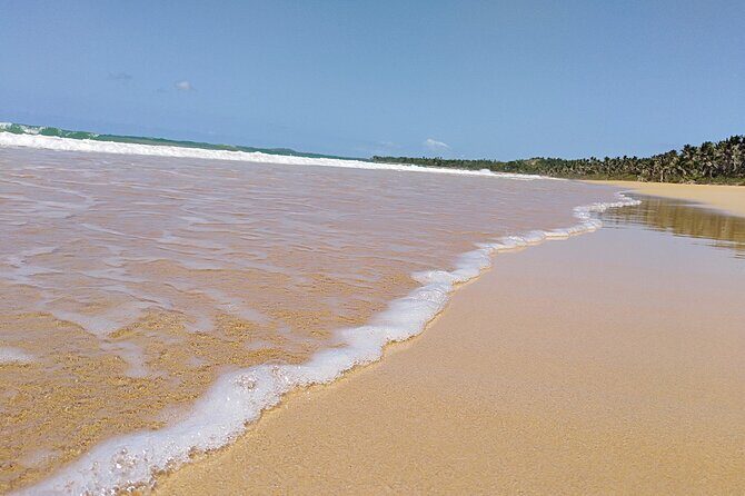 Original Tropical Rainforest and Beach Adventure - Final Thoughts: Who Will Love This Tour?