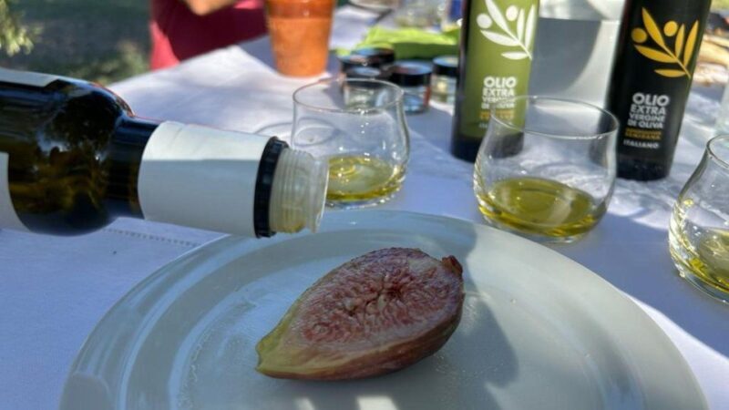 Oristano: Olive Tree Grove Guided Visit with Tasting - FAQ