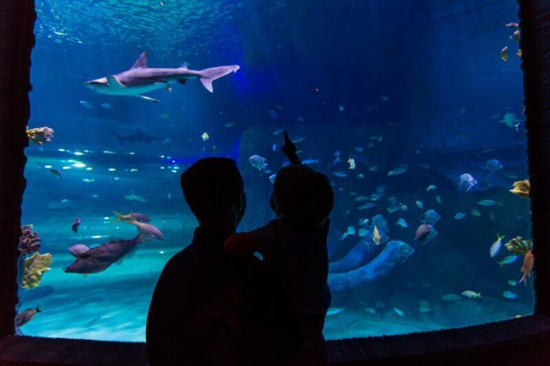 Orlando: All-Inclusive Pass with Kennedy Space Center - Key Points
