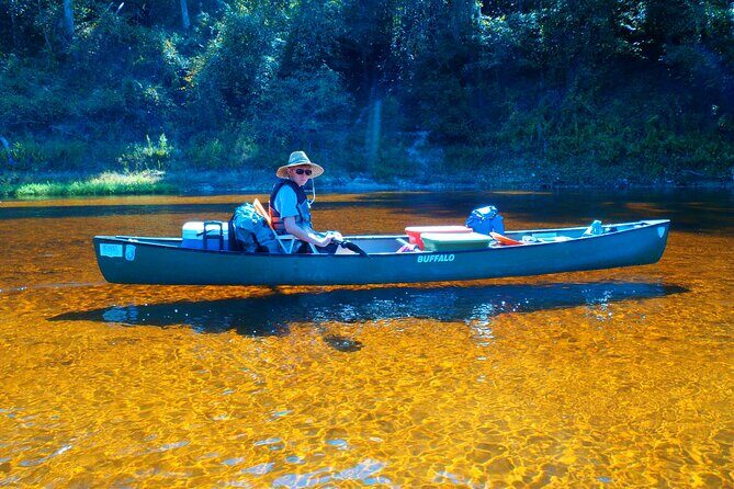 Orlando Alligator Experience - Why This Tour Is Worth It