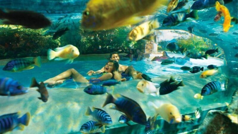 Orlando: Aquatica Water Park Admission Ticket - An Introduction to Aquatica Water Park in Orlando
