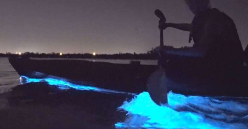 Orlando: Bioluminescence Clear Kayaking or Paddleboarding - The Sum Up: Is This Tour Worth It?