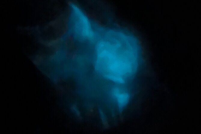 Orlando Bioluminescence Kayak Adventure - Key Points