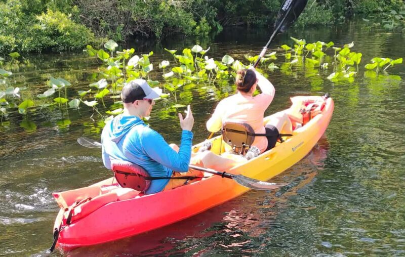 Orlando: Blue Springs Manatee Kayak Tour - Final Thoughts on the Blue Springs Manatee Kayak Tour