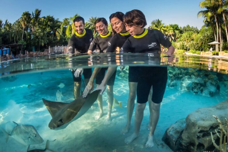 Orlando: Discovery Cove Admission Ticket & Additional Parks - Food and Amenities: What’s Included?