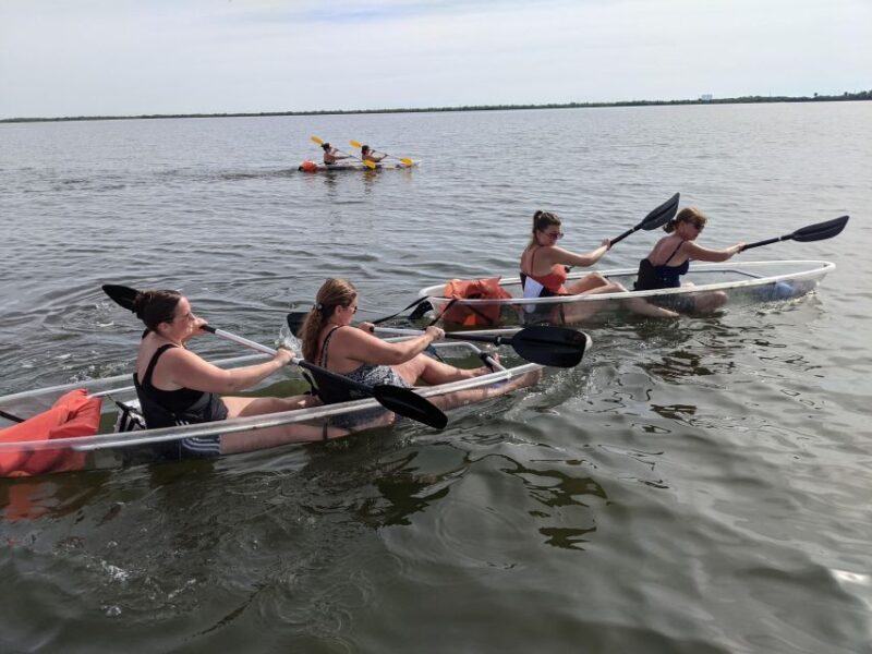 Orlando: Dolphin Clear Kayak or Paddle Board Adventure - Orlando: Dolphin Clear Kayak or Paddle Board Adventure – A Detailed Review