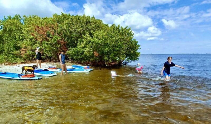 Orlando: Dolphin Clear Kayak or Paddle Board Adventure - Final Thoughts: Is This Tour Worth It?