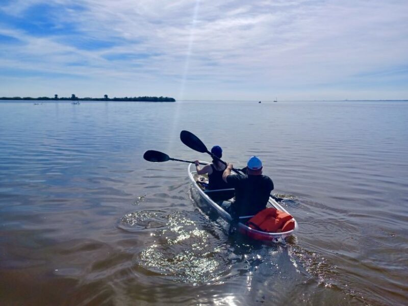 Orlando: Dolphin Clear Kayak or Paddle Board Adventure - FAQ