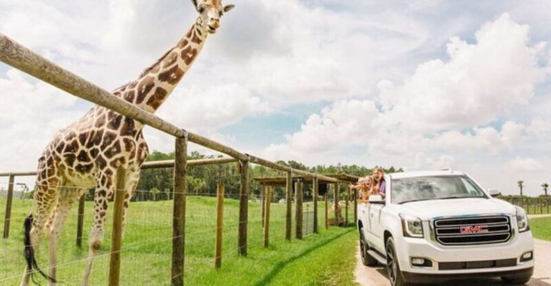 Orlando: Drive-Thru Safari Park at Wild Florida - The Experience in Detail