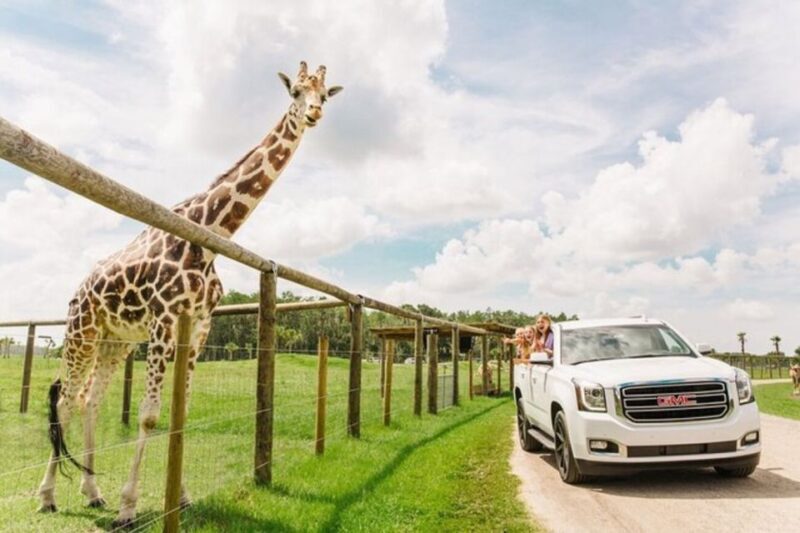 Orlando: Drive-Thru Safari Park at Wild Florida - FAQs