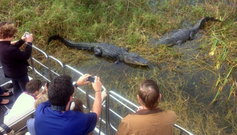 Orlando: Everglades Airboat Ride and Wildlife Park Ticket - FAQs