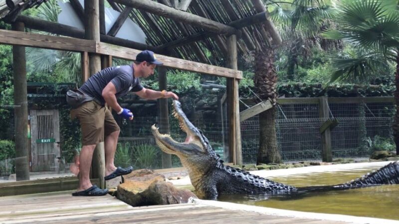 Orlando: Everglades Airboat Ride and Wildlife Park Ticket - Final Thoughts