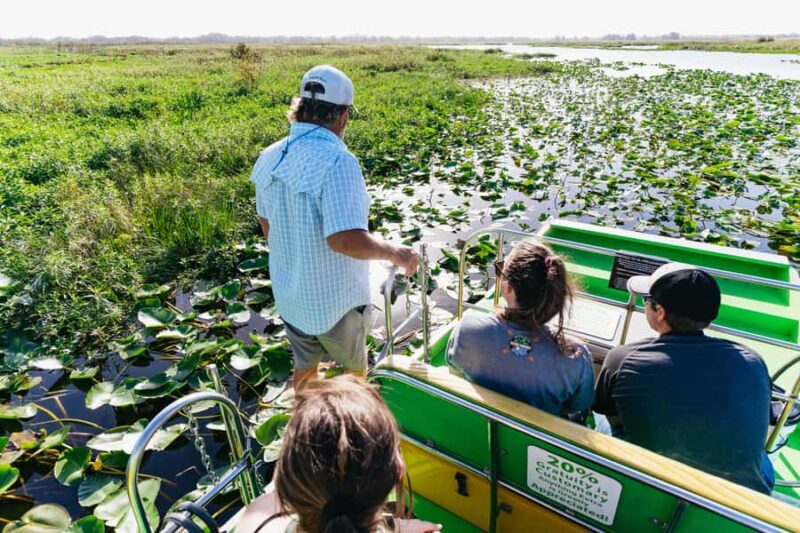 Orlando: Florida Everglades Wildlife Airboat Tour - Key Points