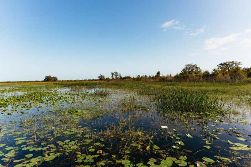 Orlando: Florida Everglades Wildlife Airboat Tour - FAQs