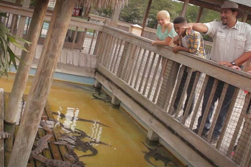 Orlando: Gatorland Interactive Tour with Animal Trainer - Key Points