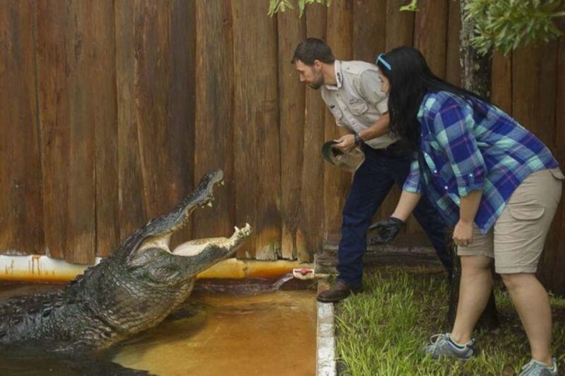 Orlando: Gatorland Interactive Tour with Animal Trainer - An In-Depth Look at the Gatorland Interactive Tour
