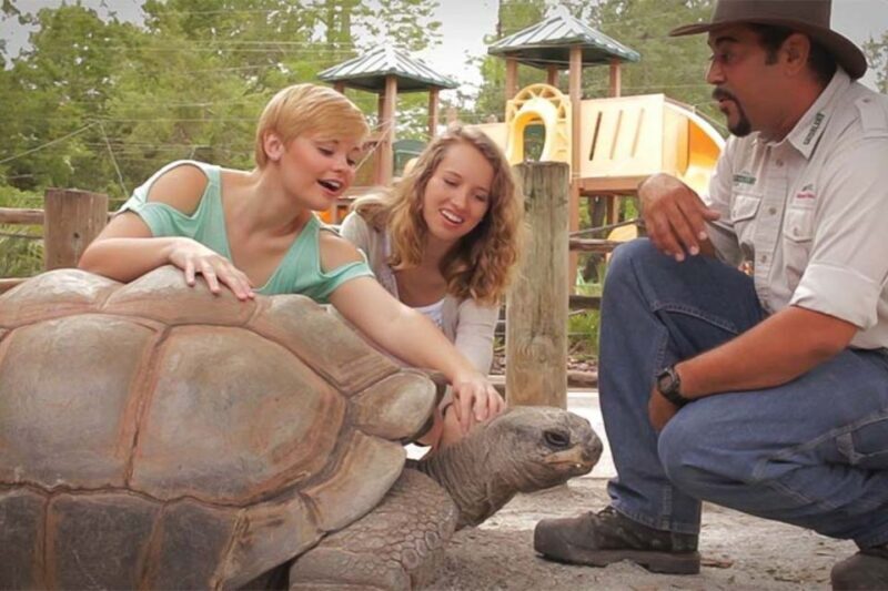 Orlando: Gatorland Interactive Tour with Animal Trainer - Who Will Love This Tour?