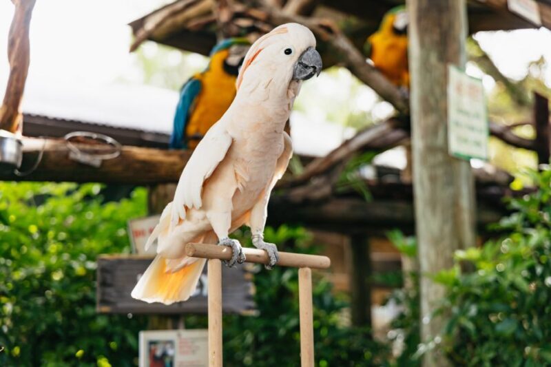 Orlando: Gatorland Skip-the-Line Ticket - The Sum Up: Is Gatorland Worth It?