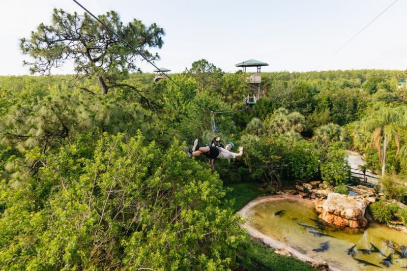 Orlando: Gatorland Skip-the-Line Ticket - FAQ: Your Gatorland Questions Answered