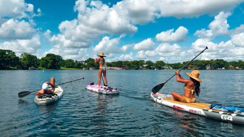 Orlando: Lake Conway Paddle Board or Kayak Tour - Wildlife and Scenic Highlights