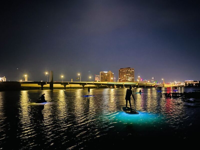 Orlando: LED Night Glow Clear Kayak or Paddleboard Tour - Who Should Consider This Tour?