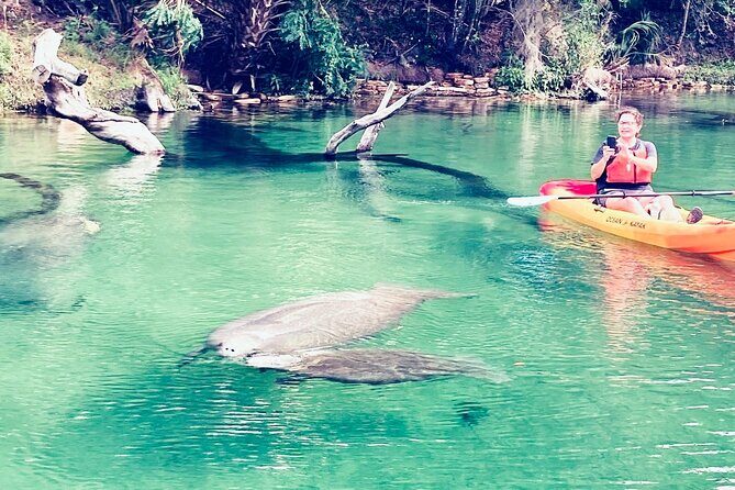 Orlando Manatee and Natural Spring Adventure Tour at Blue Springs - An In-Depth Look at the Blue Springs Adventure