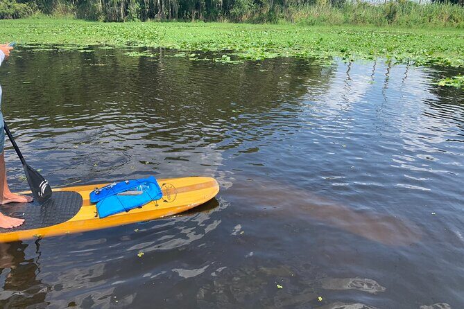 Orlando Manatee and Olde Florida History Adventure Tour - Final Thoughts