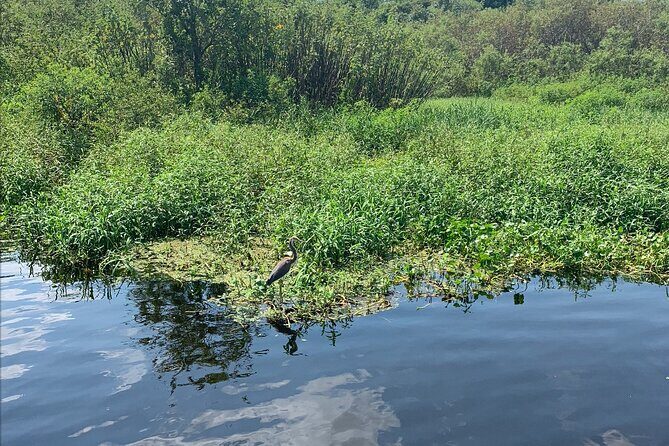 Orlando Manatee and Olde Florida History Adventure Tour - FAQ