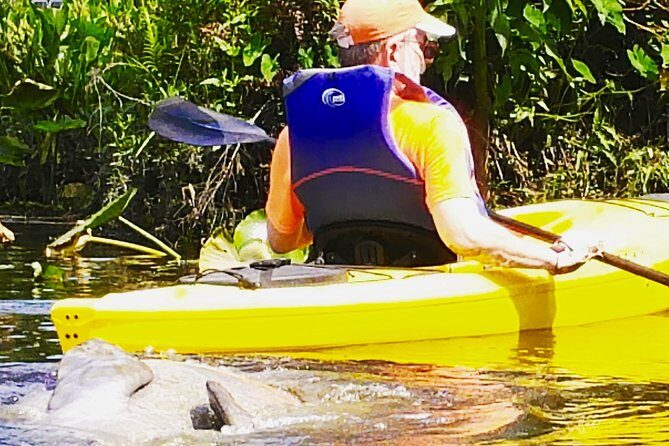 Orlando Manatee Encounters - In-Depth Review of Orlando Manatee Encounters