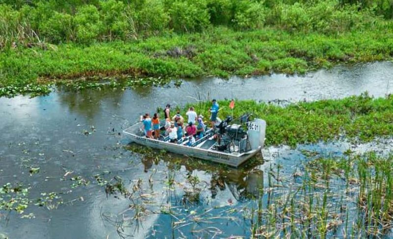 Orlando Private Airboat Tour w/ Alligator & Wildlife Viewing - Key Points