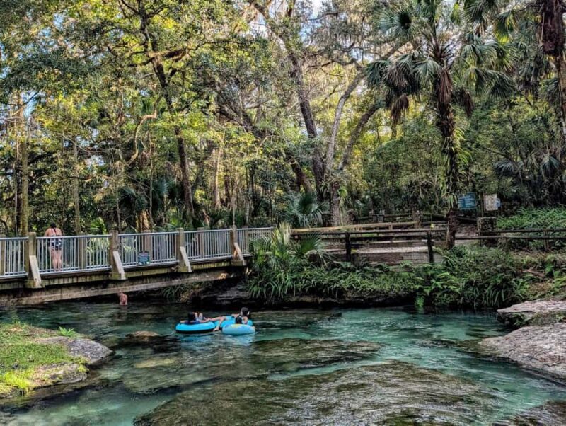Orlando: Rock Springs Tubing & Apopka Wildlife Trail Tour - Discovering Orlando’s Natural Gems