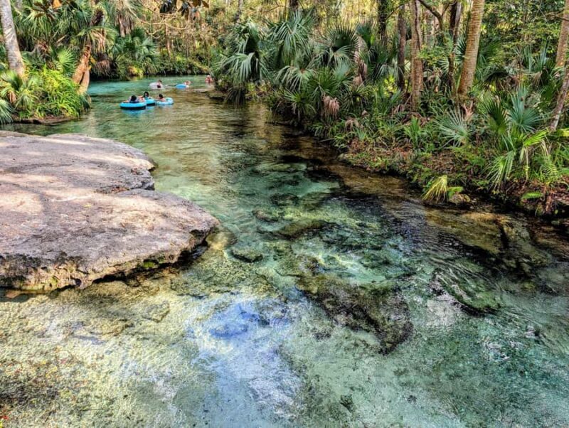 Orlando: Rock Springs Tubing & Apopka Wildlife Trail Tour - Practical Details and Logistics