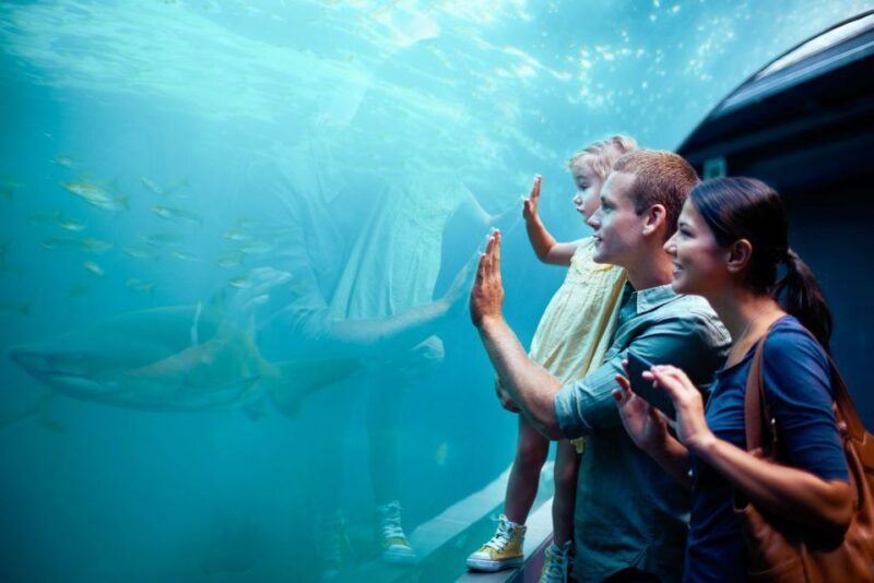 Orlando: SEA LIFE Orlando Aquarium - FAQ