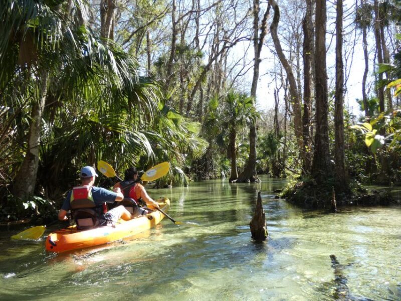 Orlando: Small Group Rock Springs Run Kayak Tour - Orlando’s Hidden Gem: Small Group Rock Springs Run Kayak Tour