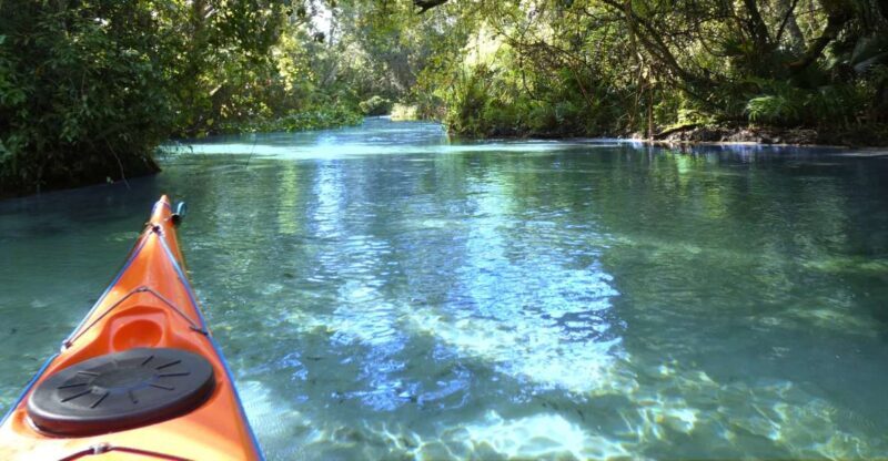 Orlando: Small Group Rock Springs Run Kayak Tour - Who Should Consider This Tour?