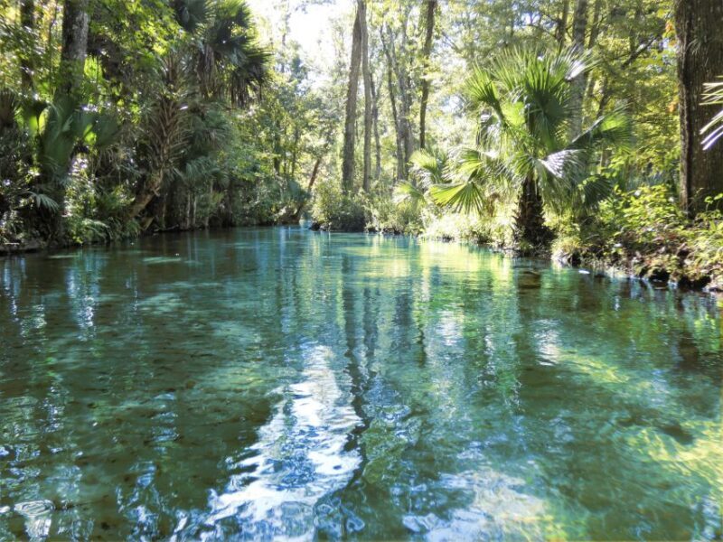 Orlando: Small Group Rock Springs Run Kayak Tour - FAQ