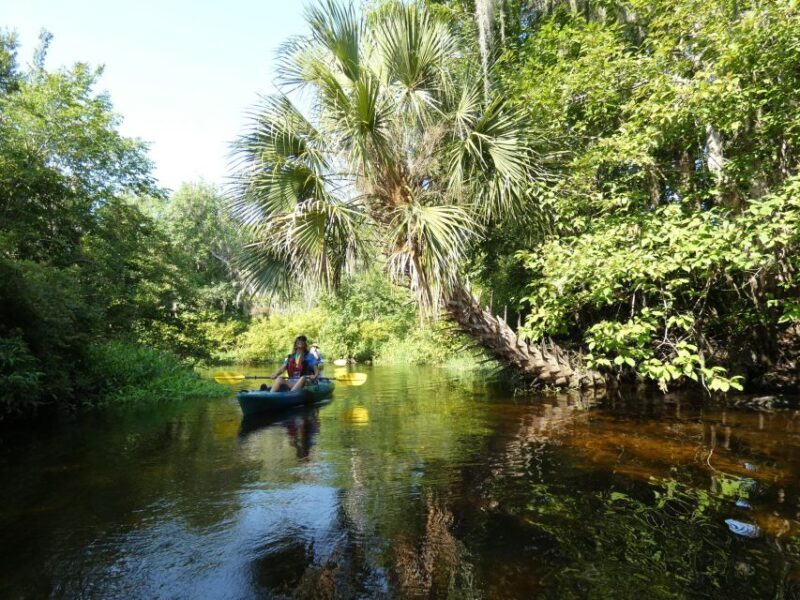 Orlando: Small Group Scenic Wekiva River Kayak Tour - Frequently Asked Questions
