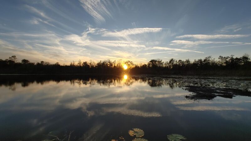 Orlando: Sunset guided kayaking tour - Why This Tour Offers Great Value