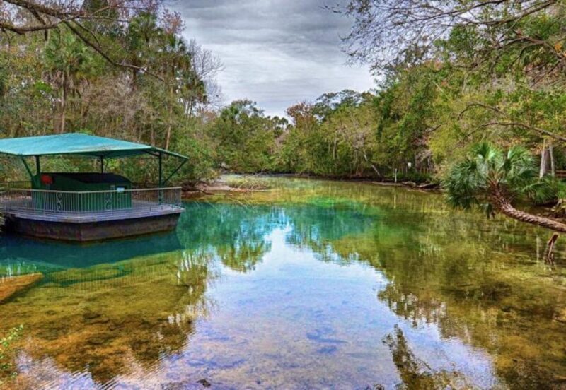 Orlando: Swim with Manatees and Homosassa State Park Visit - Who Should Consider This Tour?