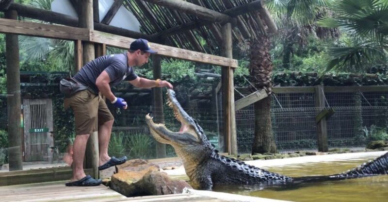 Orlando: Wild Florida Park Ticket and Gator Shows - What Makes Wild Florida Special?